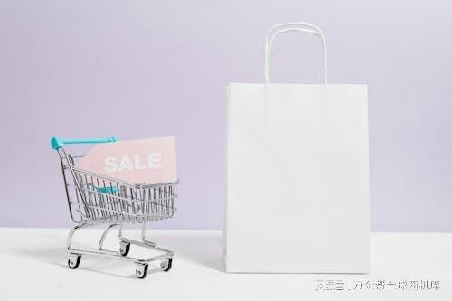 成功之道：案例解析与经验总结九游会j9登陆跨境电商独立站(图5)