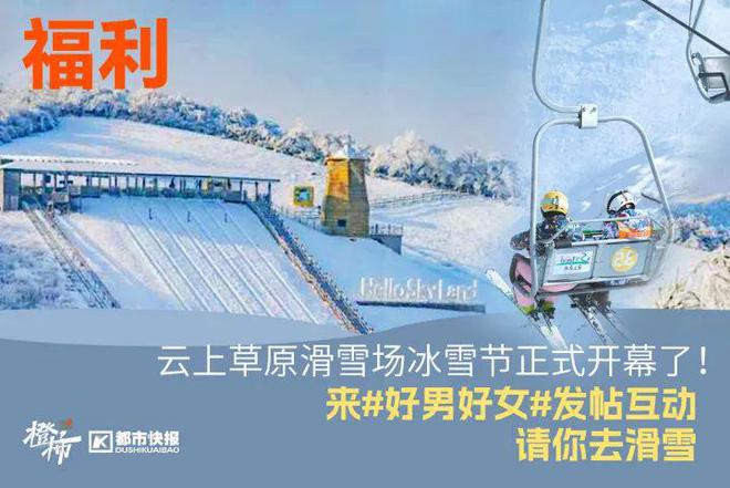 王茶姬动物手机支架……橙柿超多福利送送送J9数字平台时髦人都有的巴拉克拉法帽、霸(图10)