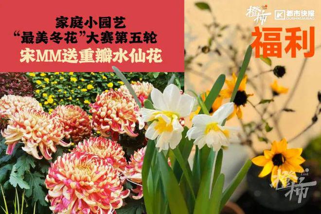 王茶姬动物手机支架……橙柿超多福利送送送J9数字平台时髦人都有的巴拉克拉法帽、霸(图8)